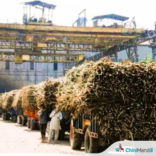 महाराष्ट्र के 50% से अधिक चीनी मिलों ने दीवाली के लिए जल्दी पेराई शुरू की