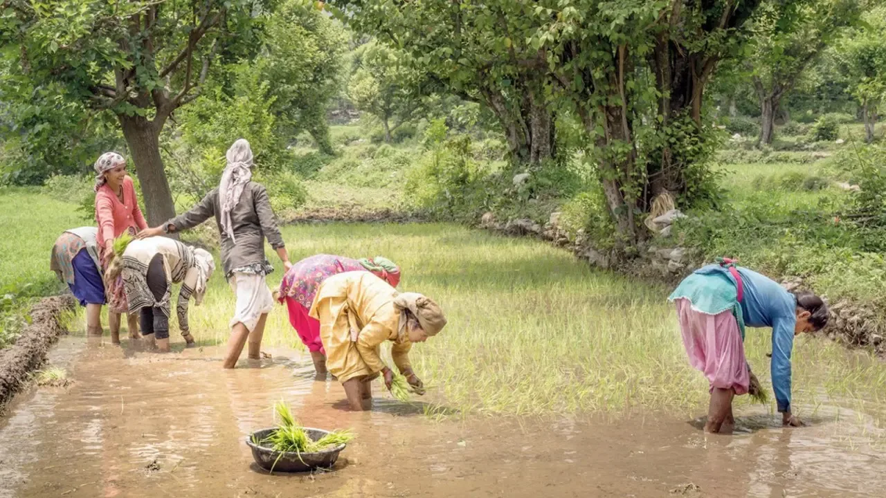 Maharashtra Consultation Reveals Disparities in Women's Land Rights