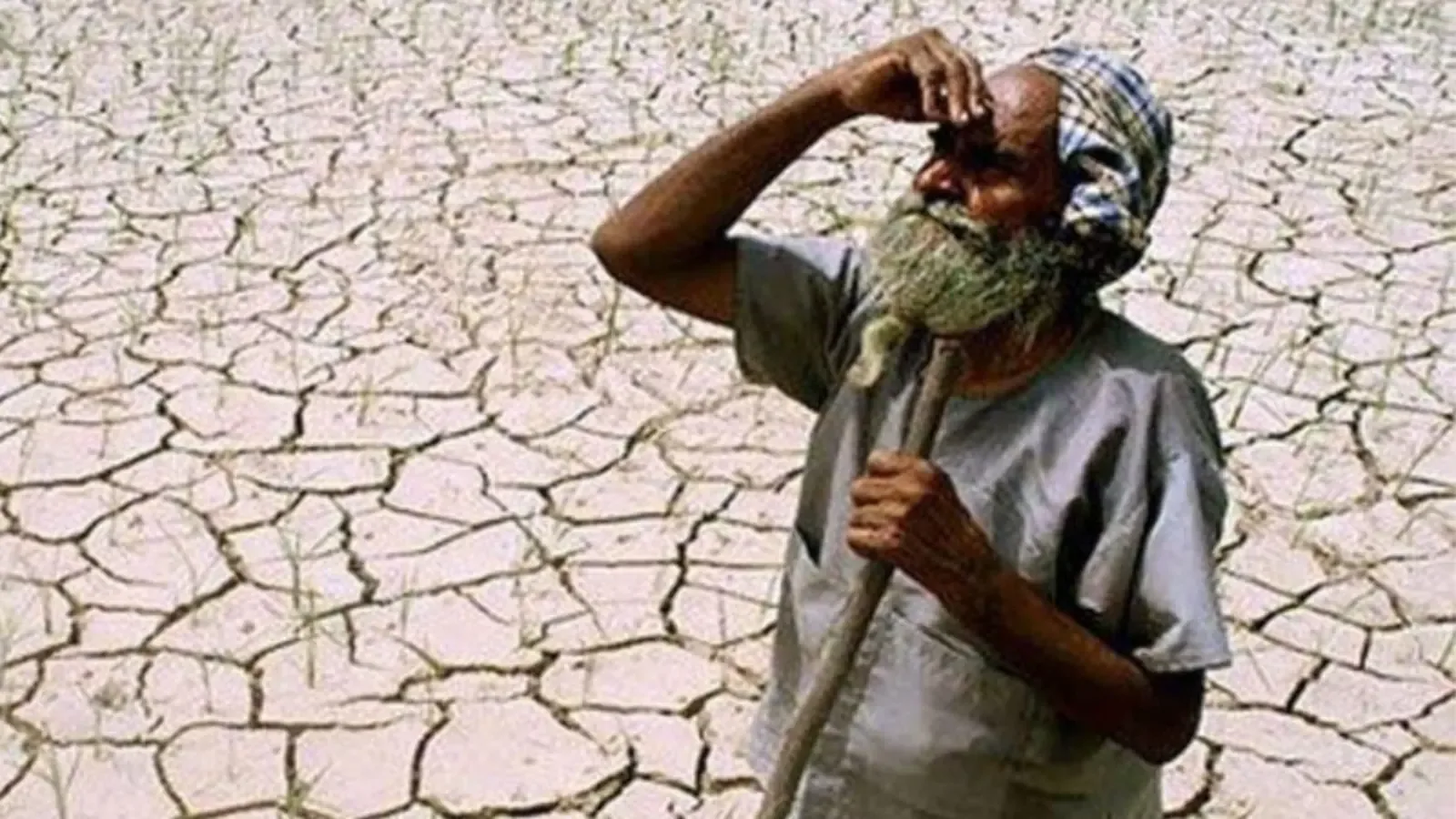 महाराष्ट्रातील IAS आणि IPS अधिकाऱ्यांनी दुष्काळाच्या मदतीसाठी एक दिवसाचा वेतन दान केला