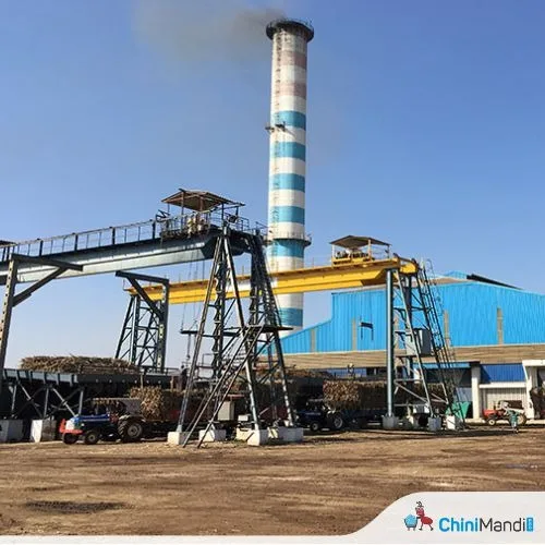 41 Sugar Mills in Maharashtra Await Crushing Licences as Season Begins