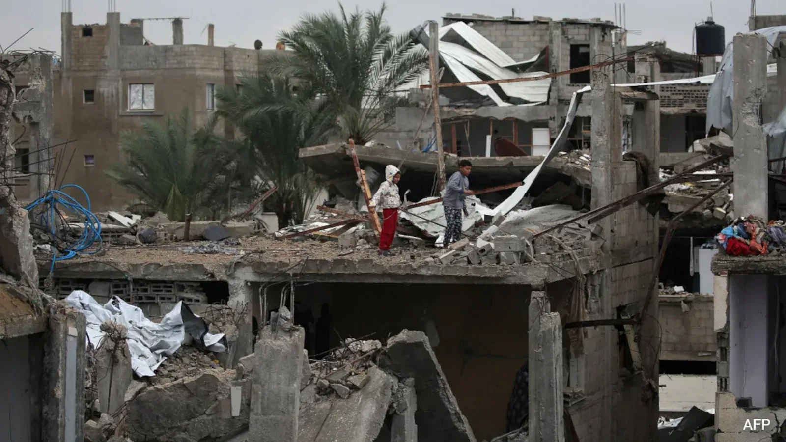 Israeli-Backed Militias Raid Homes in Gaza, Families Terrorized