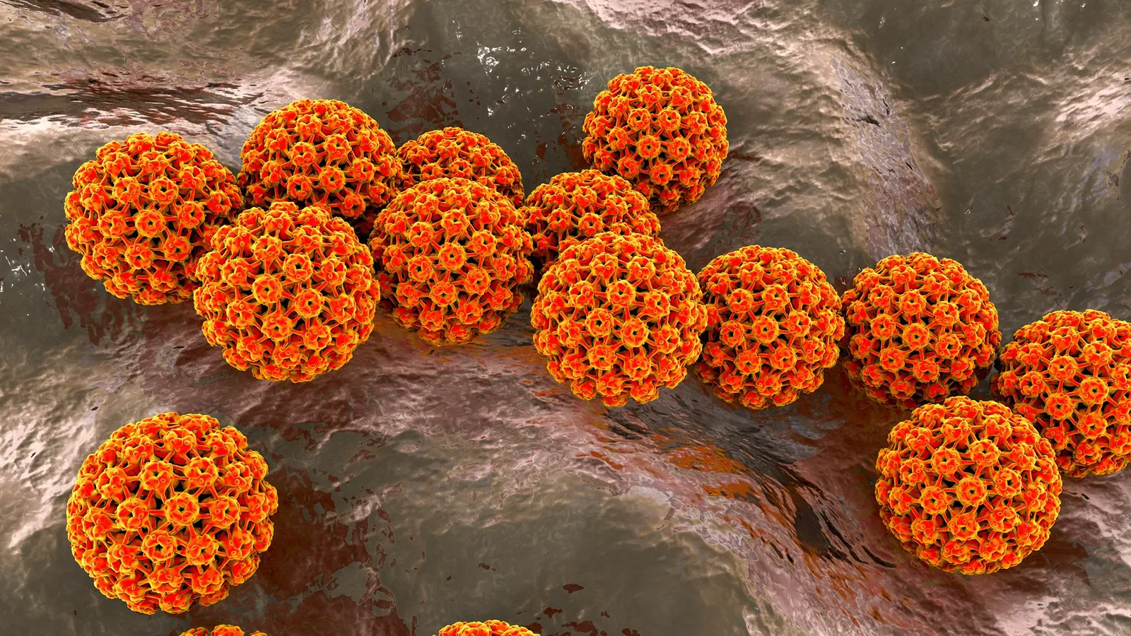 Study Reveals 12% of Cancer Cases Linked to Infections in 2024