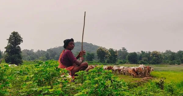 महाराष्ट्र 2 ऑक्टोबर 2026 रोजी महिला शेतकऱ्यांचे प्रमाणपत्र जारी करणार