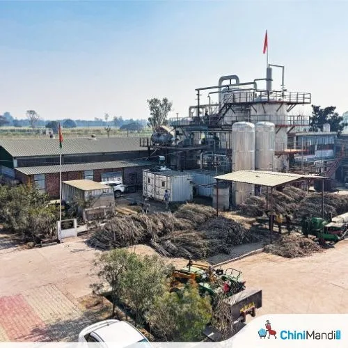 महाराष्ट्र में गन्ना पेराई सत्र की शुरुआत, सूखे की चुनौतियाँ