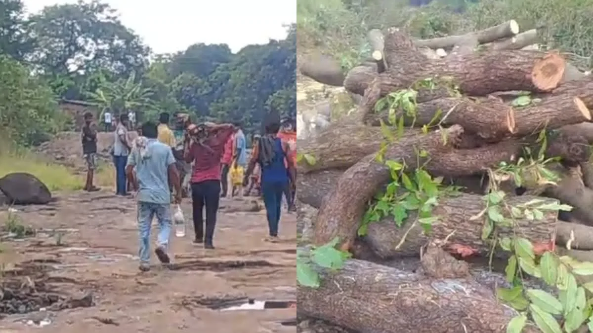 रायगडमध्ये टॉरेंट पावर प्रकल्पाला पर्यावरणीय विरोध