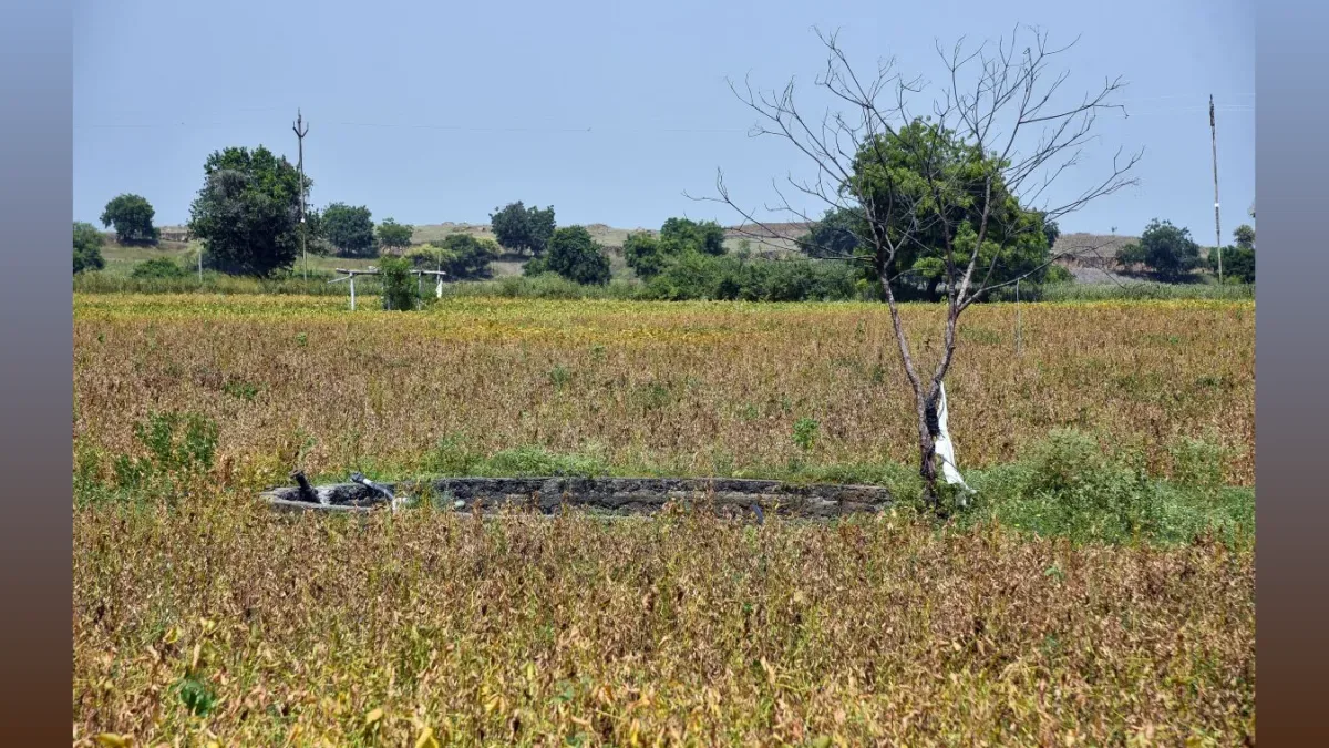 महाराष्ट्र ने सूखा प्रभावित किसानों के खिलाफ माइक्रोफाइनेंस कंपनियों पर कार्रवाई की