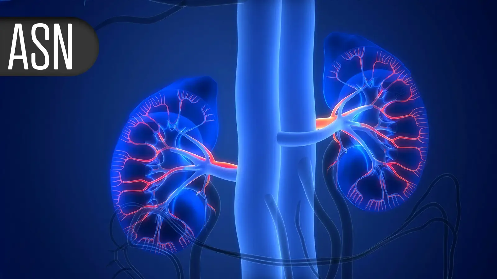 New Study Reveals Risks of Low Protein Diets in CKD Patients