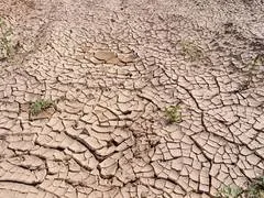नांदेड़ में कर्ज के लिए अपहरण के बाद किसान की मौत