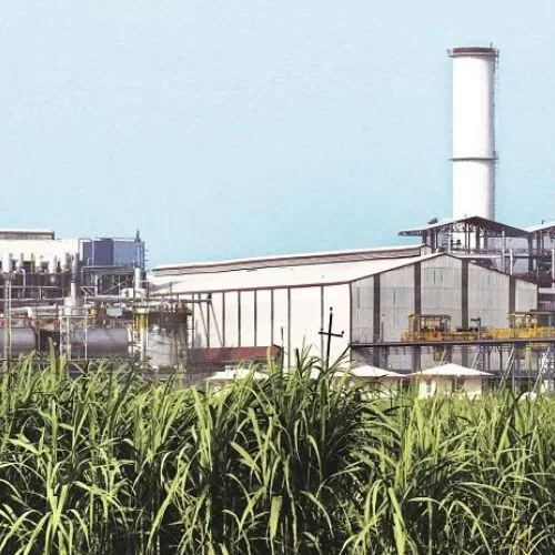 Maharashtra Sugar Mills Owe Farmers ₹175 Crore in FRP Payments