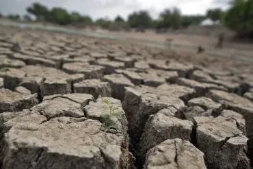 केंद्राने महाराष्ट्रात दुष्काळाचे मूल्यांकन करण्यासाठी टीम स्थापन केली