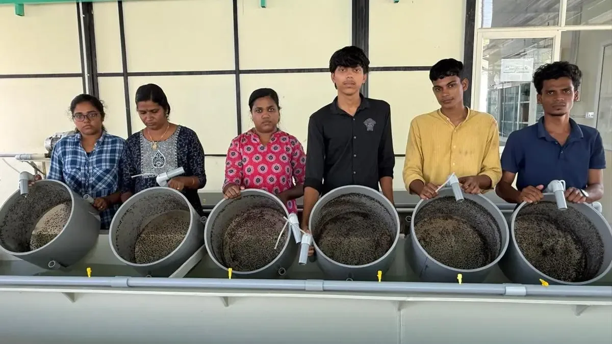 Maharashtra Receives Additional 500,000 Green Mussel Seeds