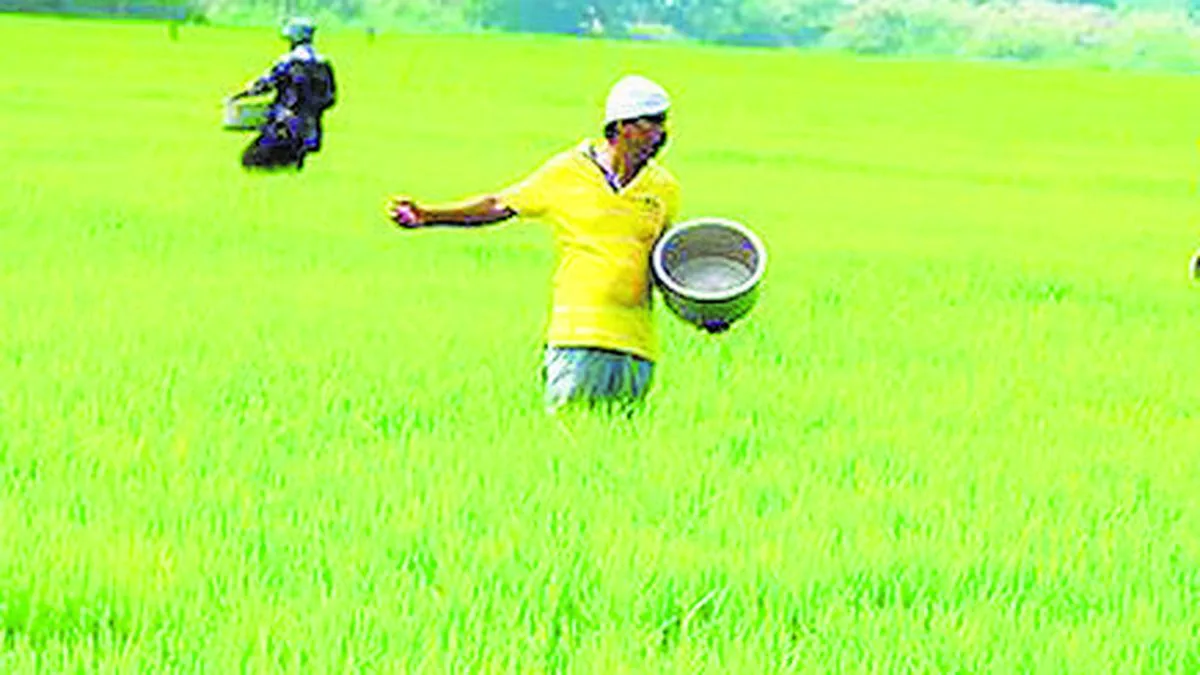 FAI ने यूपी, महाराष्ट्र और बिहार में गैर-सब्सिडी वाले उर्वरक बिक्री पर प्रतिबंध हटाने की अपील की